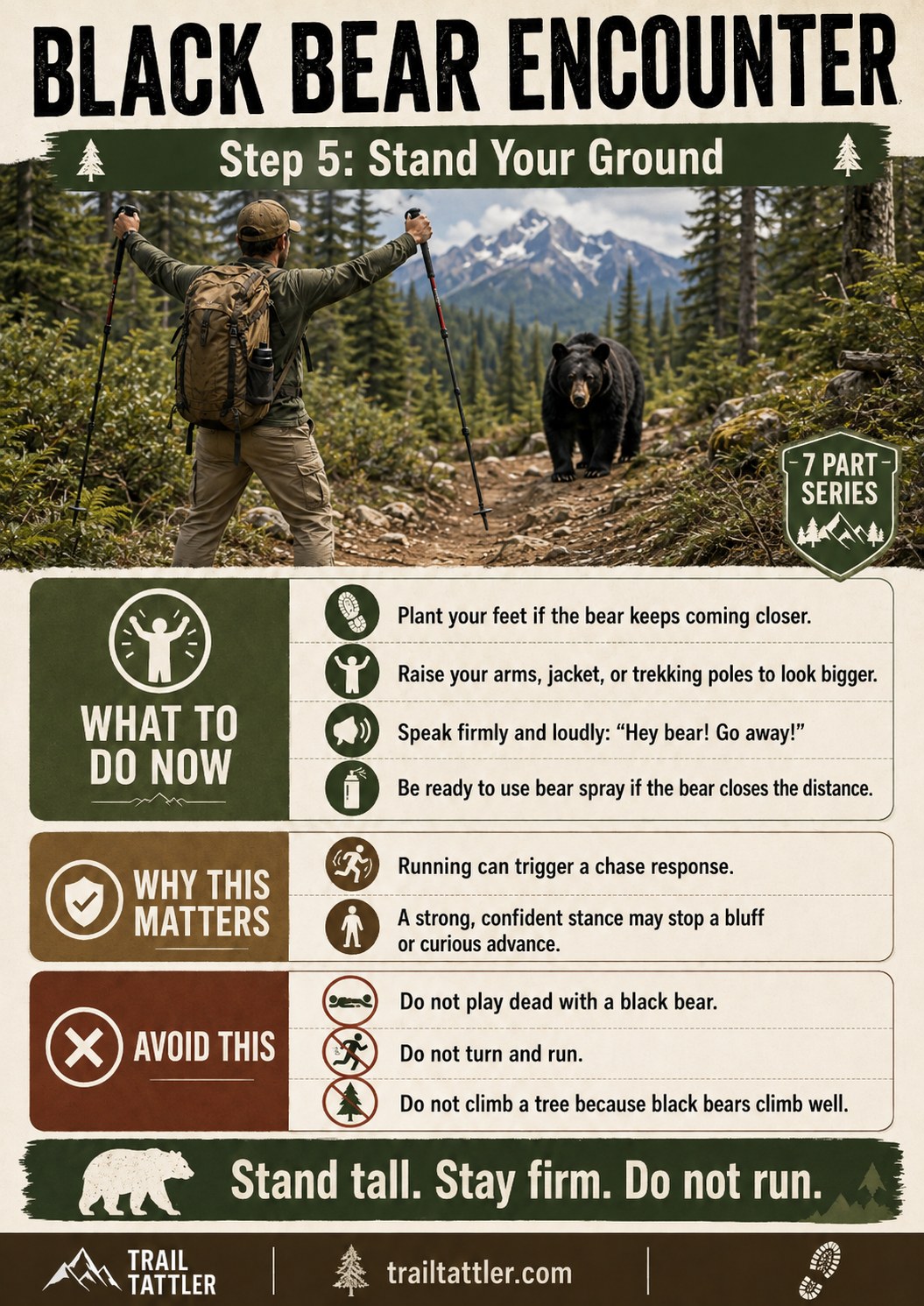Hiker standing his ground with raised trekking poles during a close black bear encounter