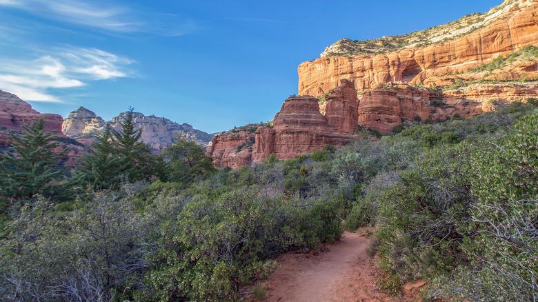Boynton Canyon Sedona creek trail