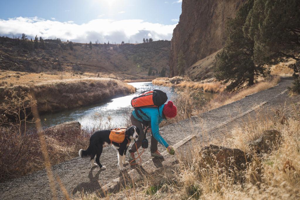 Dog owner cleaning trail waste