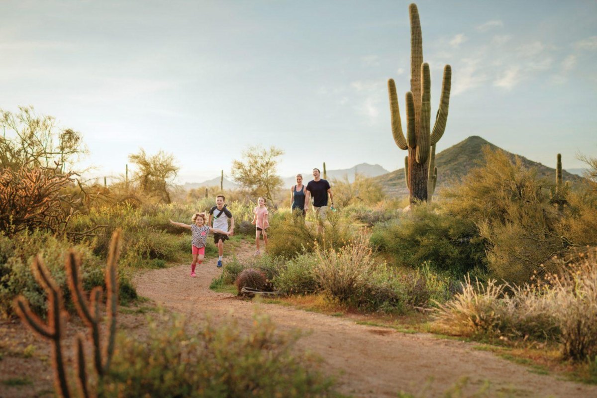 Kids exploring an easy desert trail