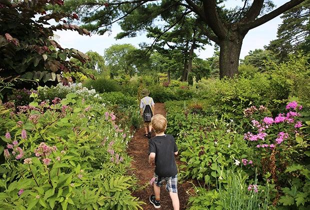 Kids walking through a botanical garden trail
