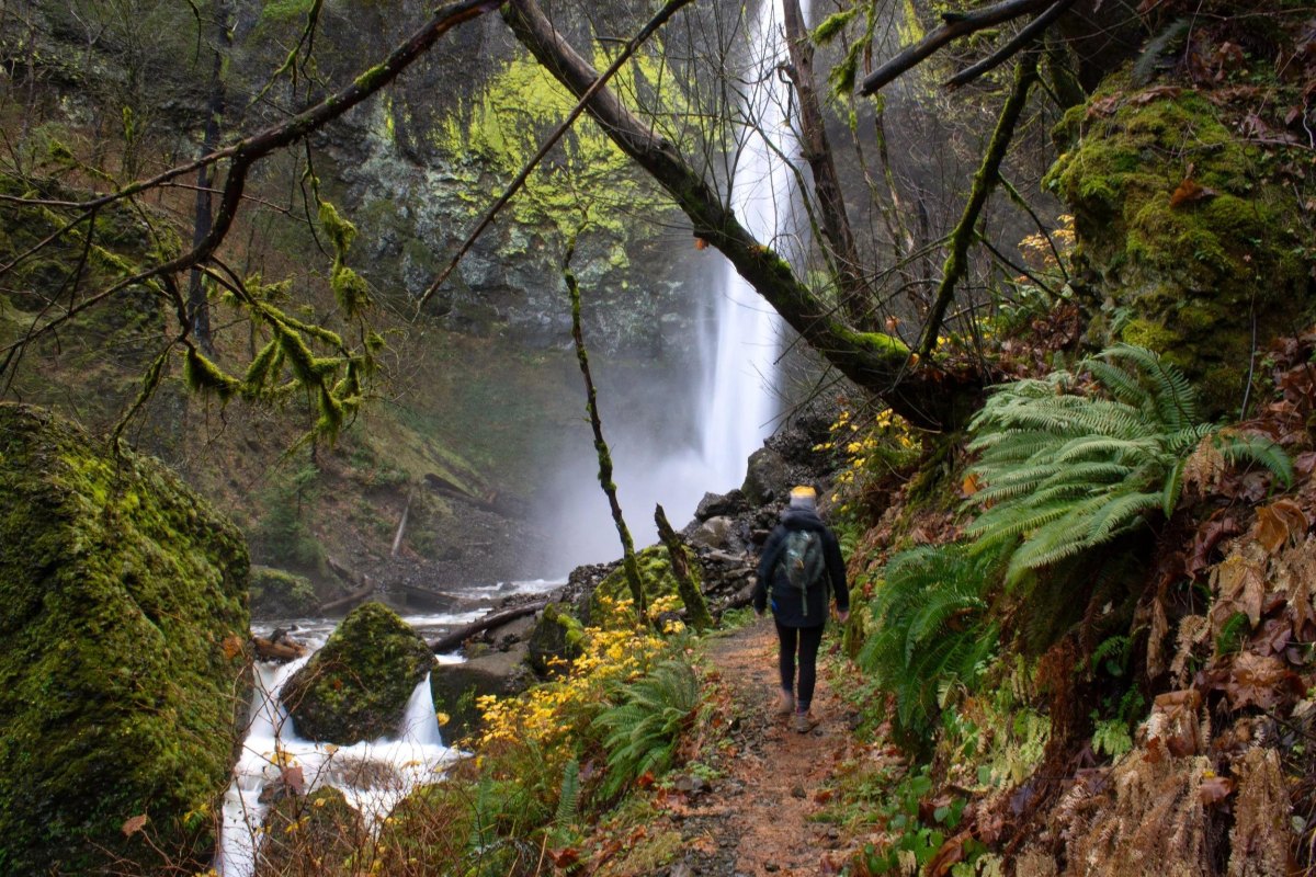 Hiker walking through a lush forest waterfall trail