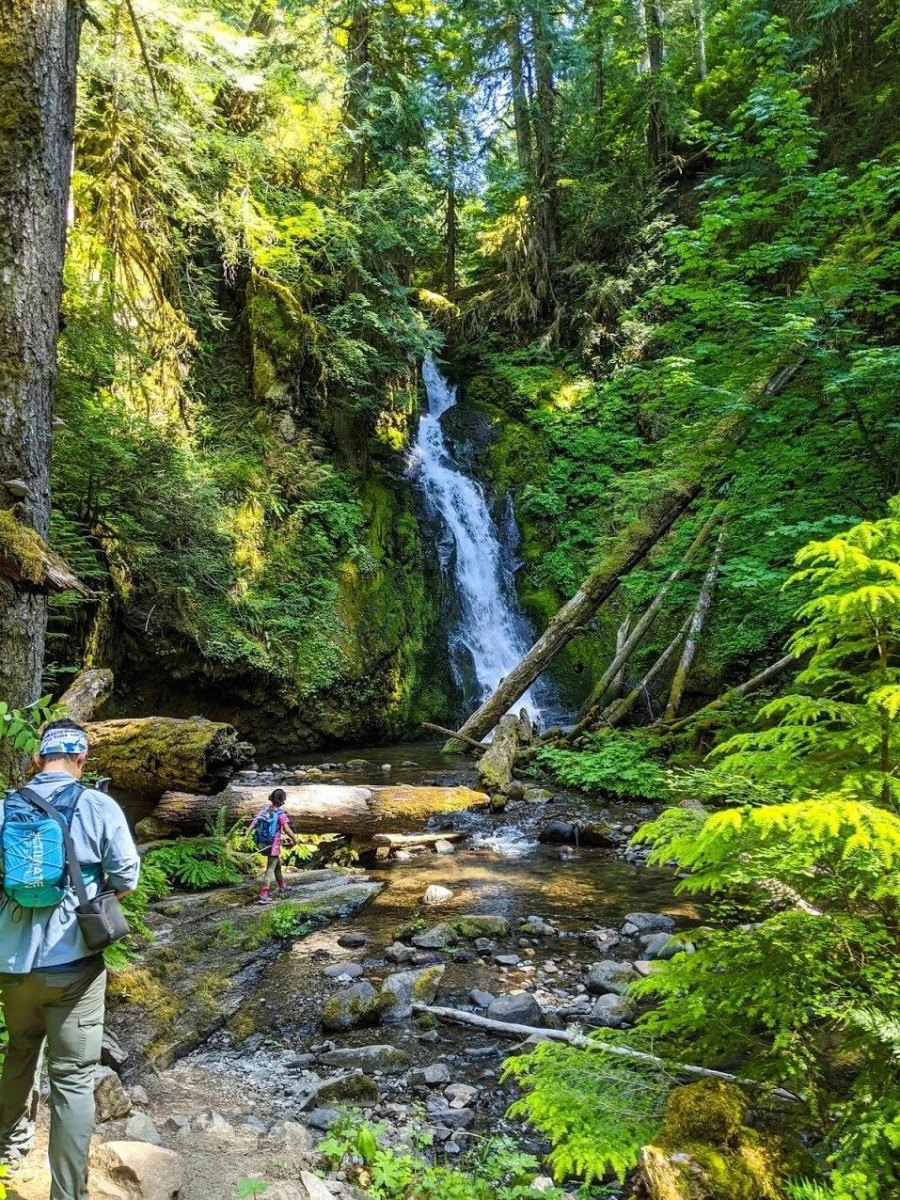 Hidden forest waterfall trail escape