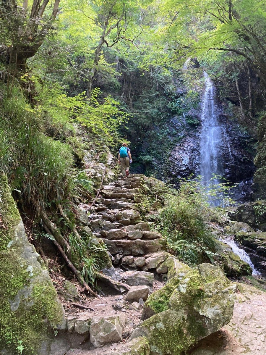 Hiker walking rocky forest trail