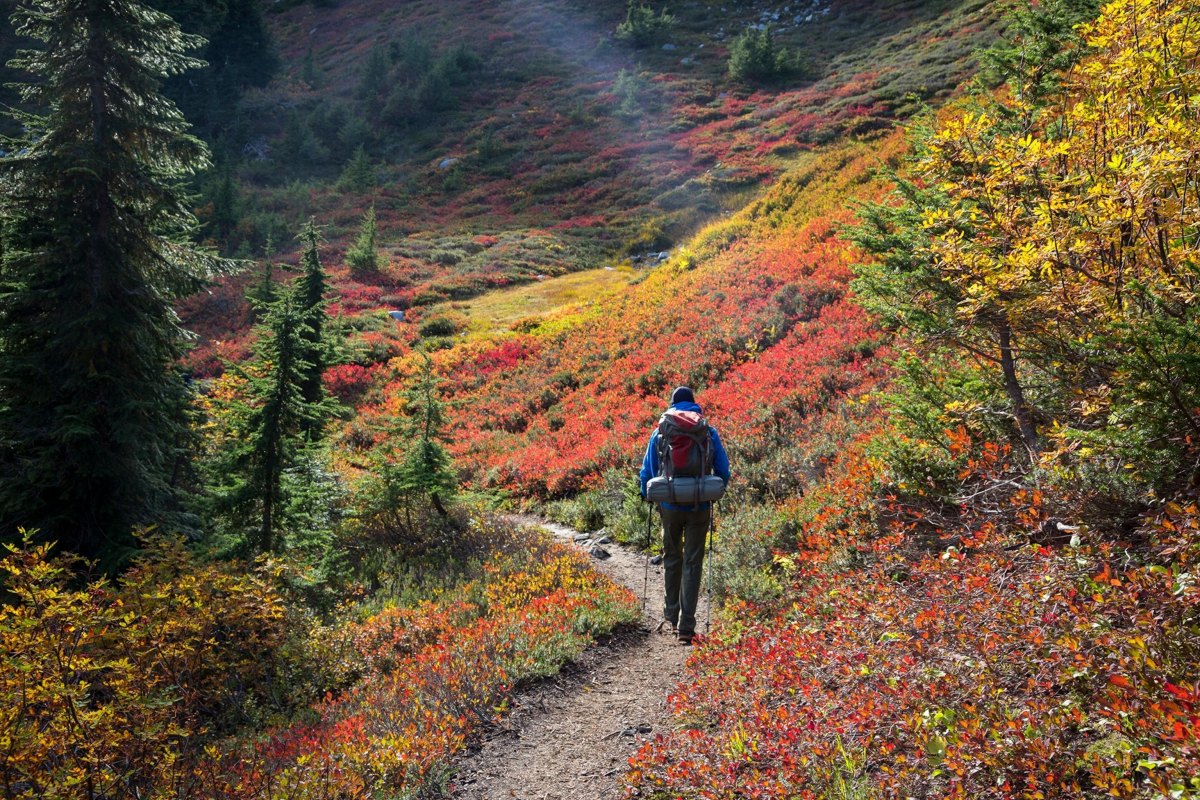 Hiker carrying backpack in fall woods