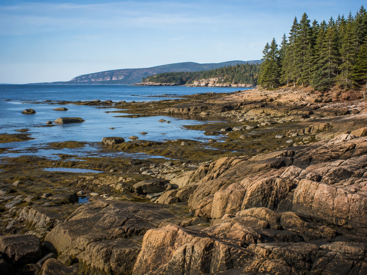 Rocky Atlantic coastline along the Ocean Path in Acadia National Park, Maine