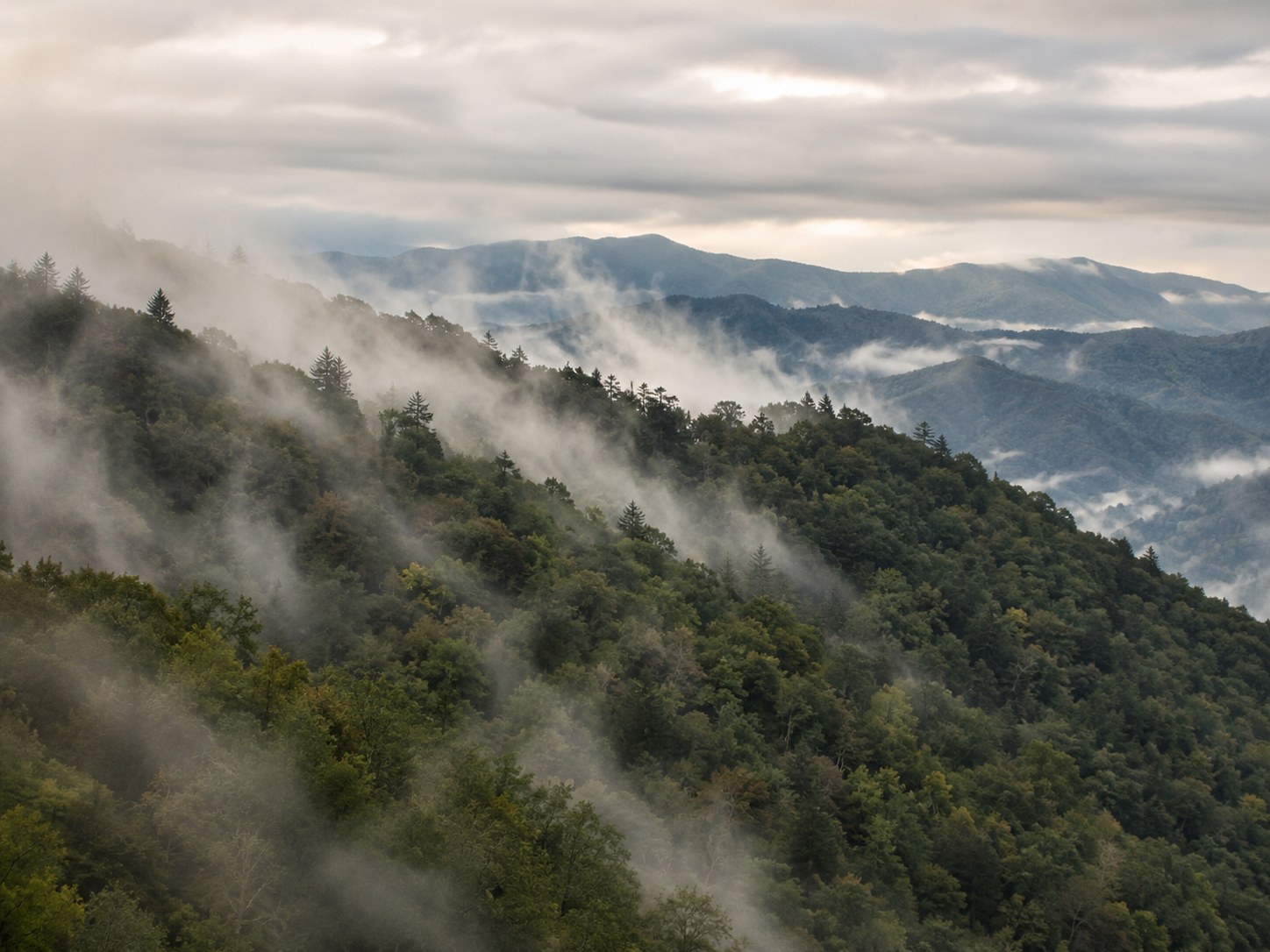 Fog rising over ridgelines in Great Smoky Mountains National Park, Tennessee and North Carolina
