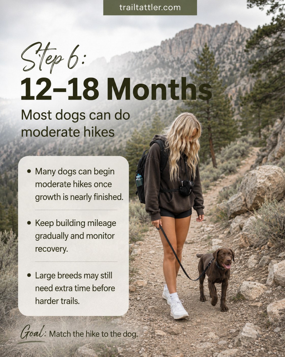 At 12–18 months this dog tackles a moderate rocky trail, a key puppy hiking age turning point for many breeds