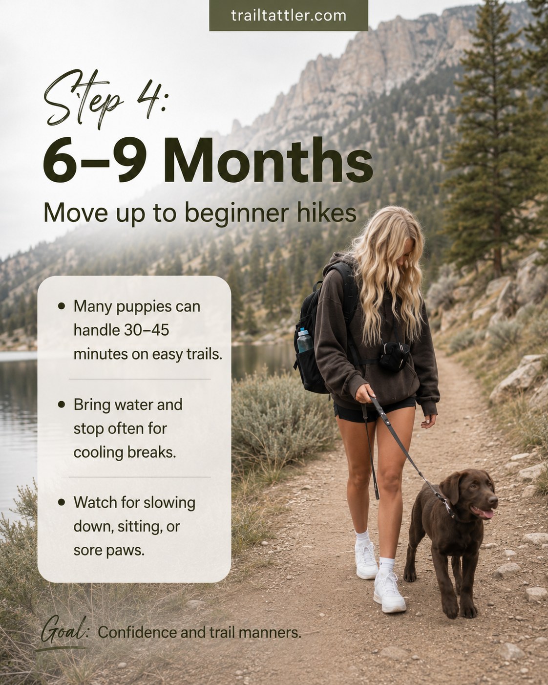 A 6–9 month old dog walks a beginner lakeside trail, an important puppy hiking age milestone for stamina