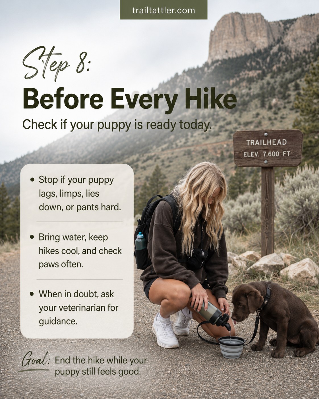 Before every hike this owner checks her puppy's readiness and paws at the trailhead, the final puppy hiking age rule
