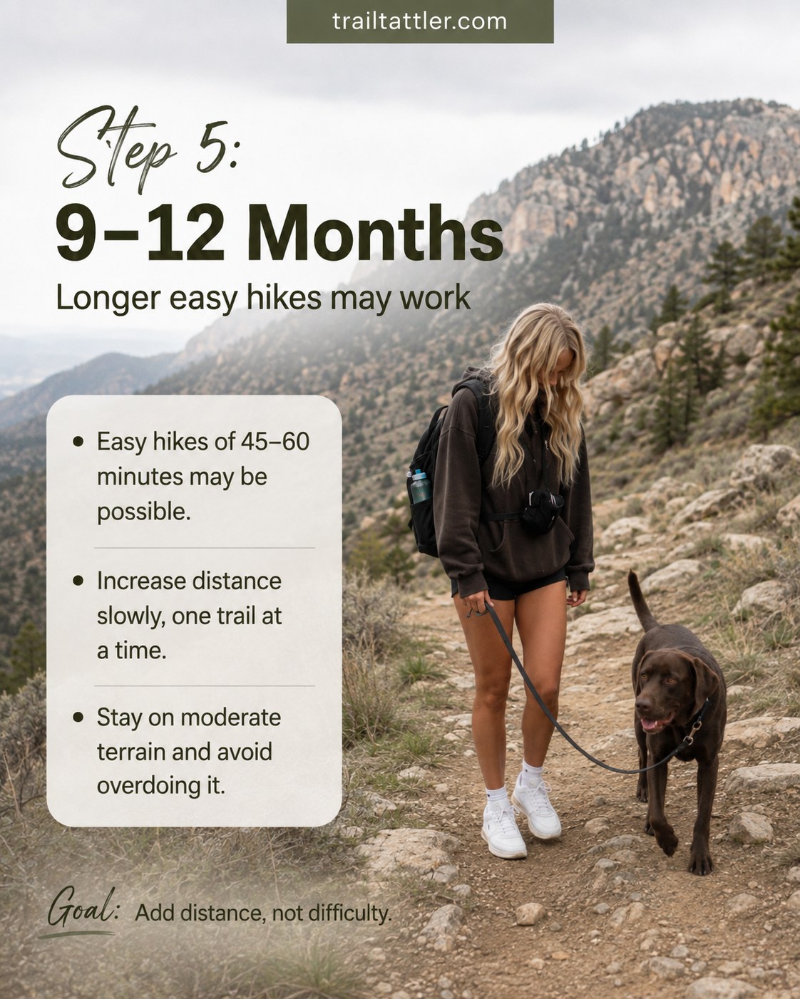 This 9–12 month old dog hikes a longer easy trail, showing how puppy hiking age allows added distance