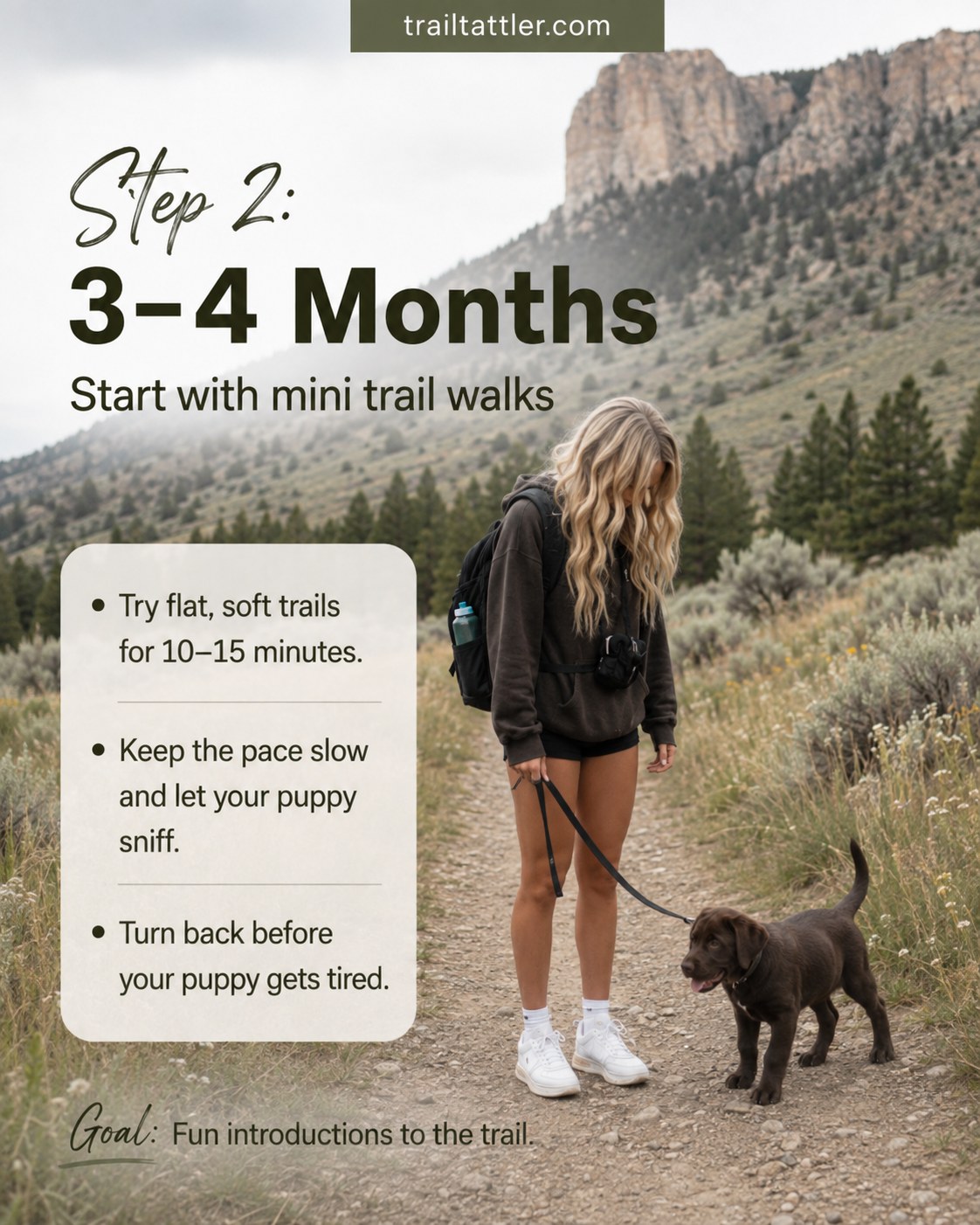 A 3–4 month old puppy takes its first short, soft-surface trail walk as part of puppy hiking age progression