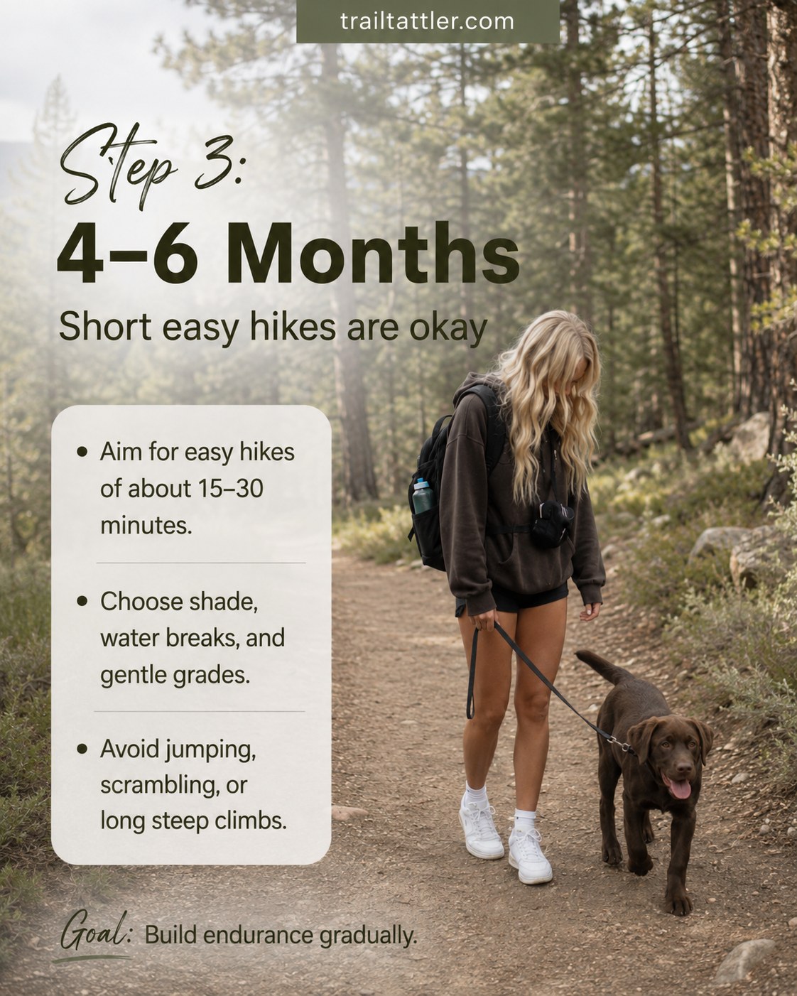 At 4–6 months this puppy hiking age stage allows short, shady, easy hikes with frequent water breaks