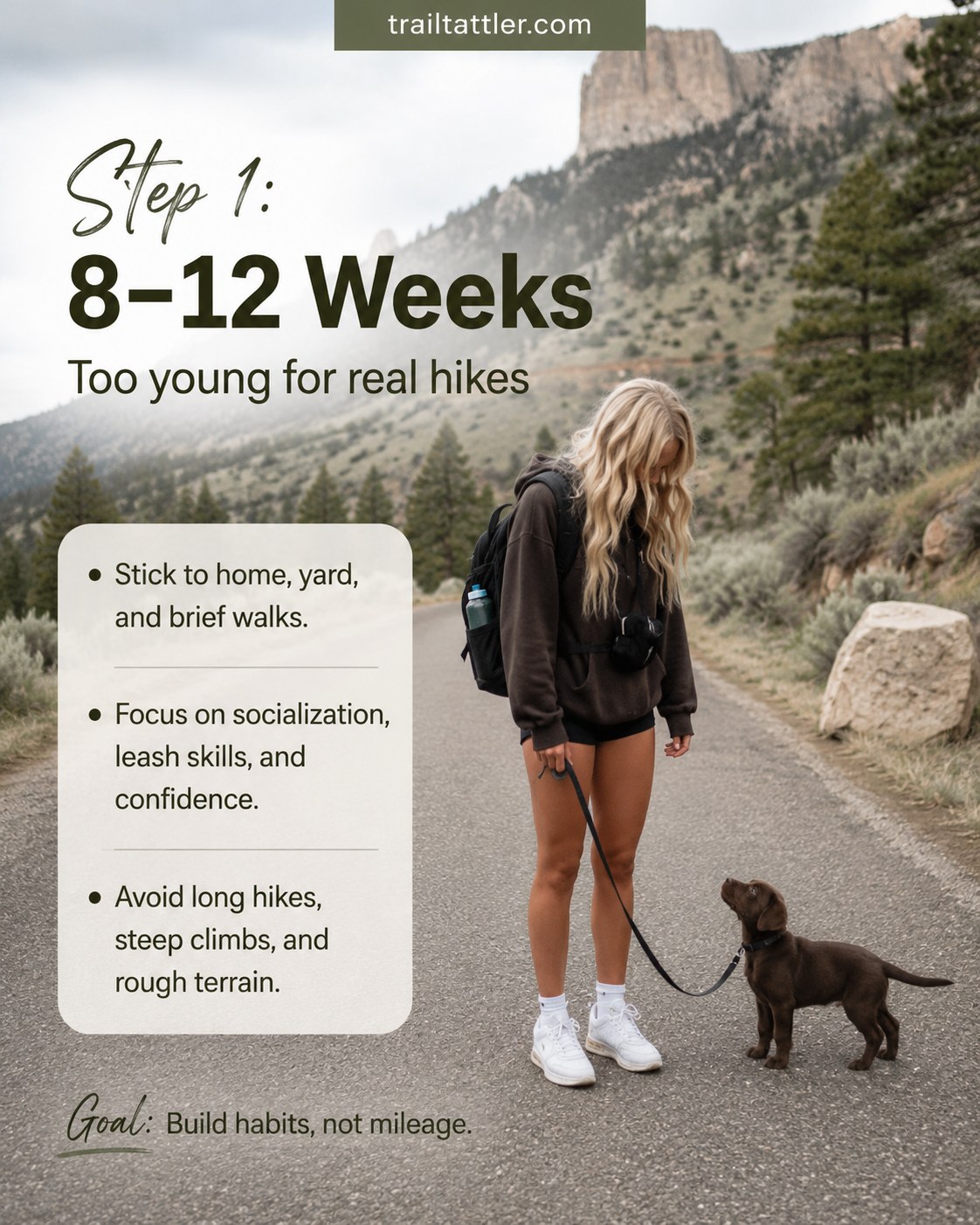 8 Puppy Hiking Age Stages - What's Safe At Each Age