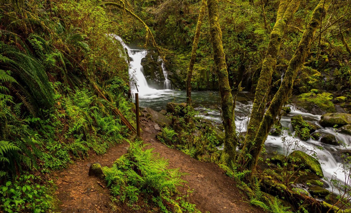 Secret Falls Hike Guide Trail Tips and Route Details