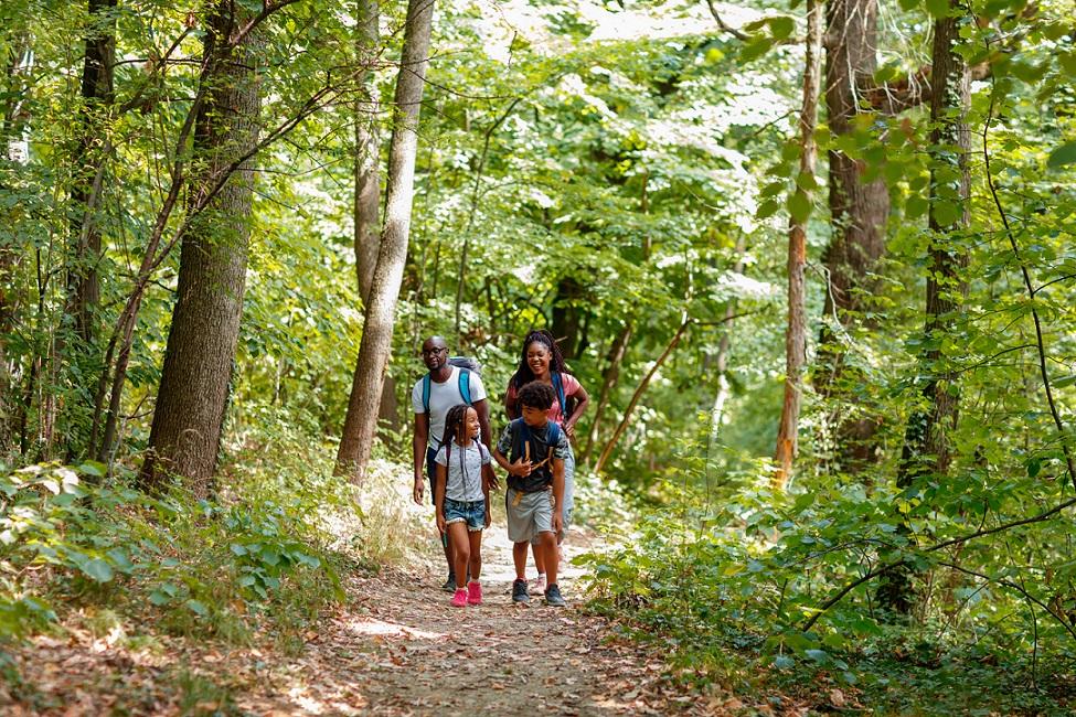 Family hiking under forest shade