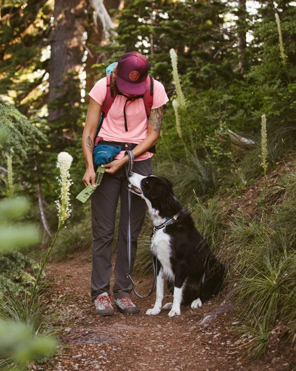 Dog treats and food on hiking trip
