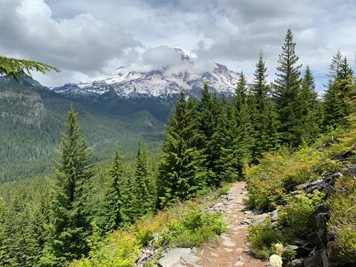 Forest trail leading through scenic hiking route