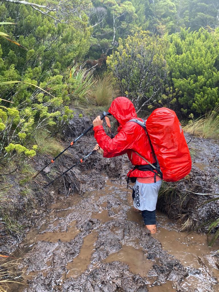 Hiker using trekking poles in rain