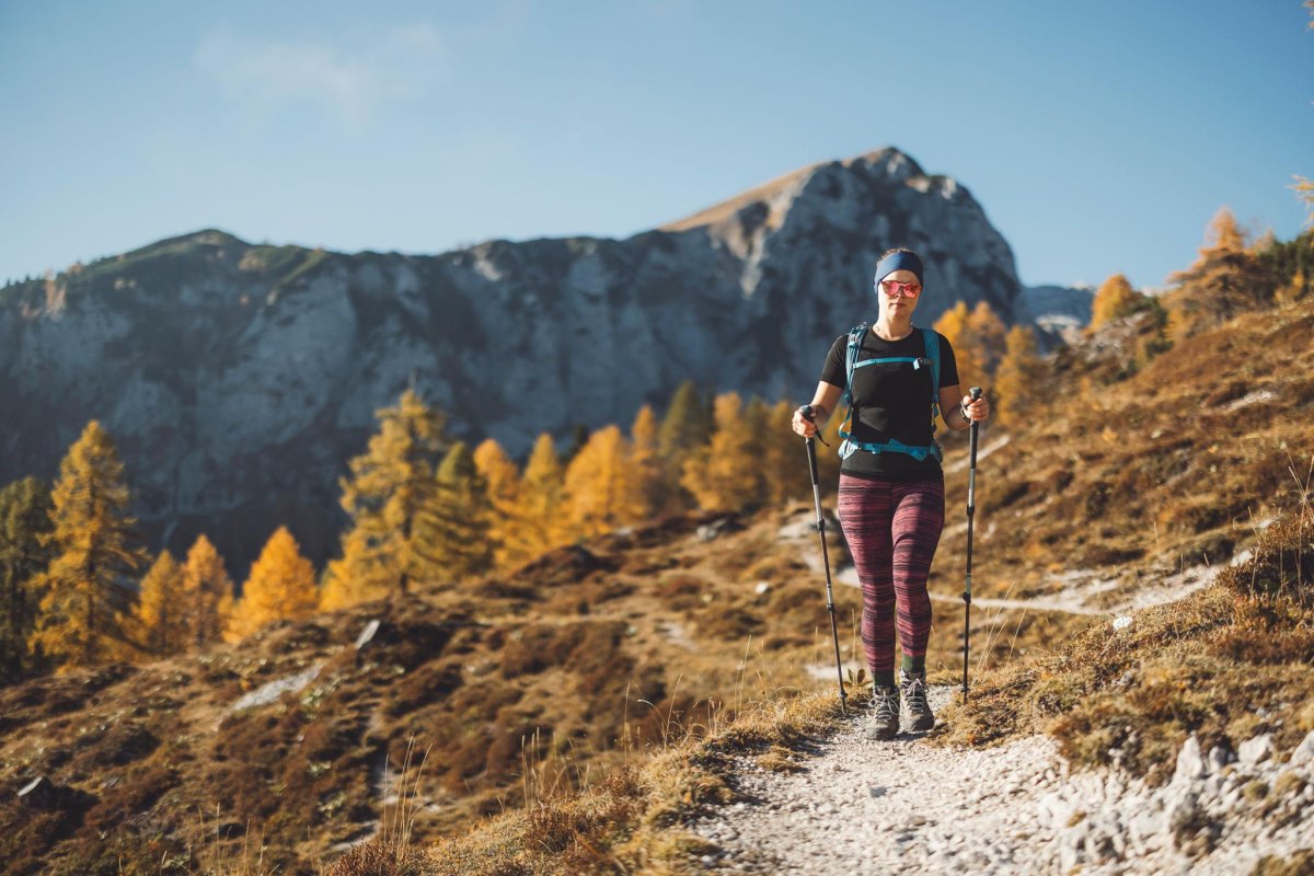 Trekking poles on mountain trail