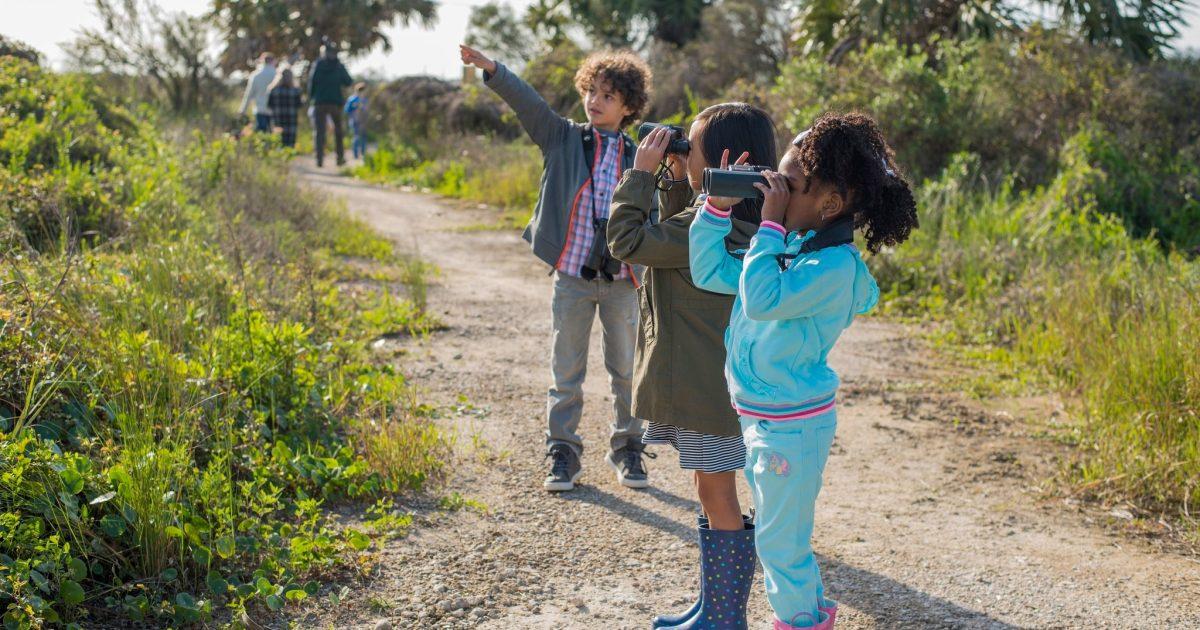 Children watching wildlife on a nature path