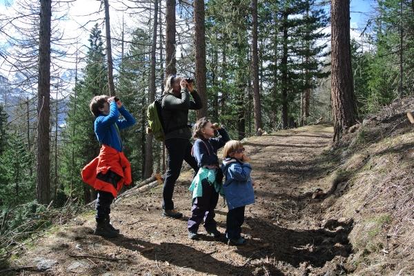 Kids observing wildlife on trail