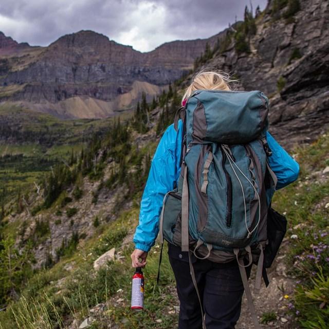 Backpacker in wildlife area