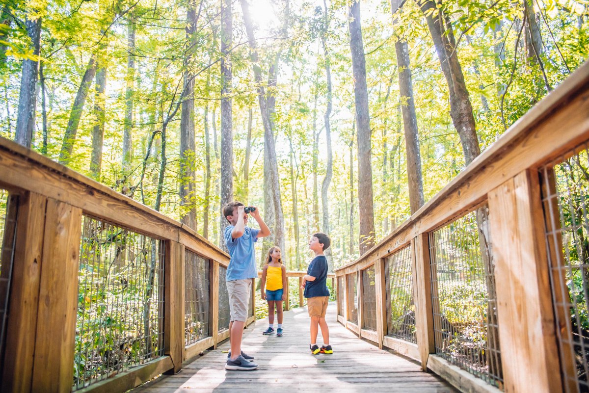 Children walking on a wooden boardwalk trail